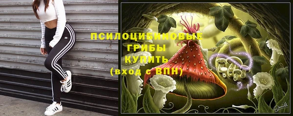 гашик Балахна