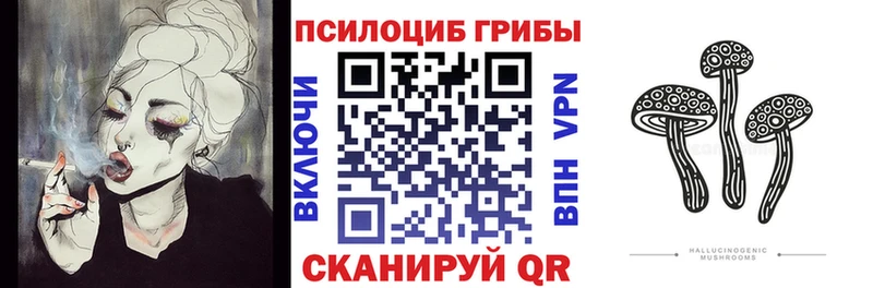 закладки  ссылка на мегу ONION  Псилоцибиновые грибы Cubensis  Избербаш 